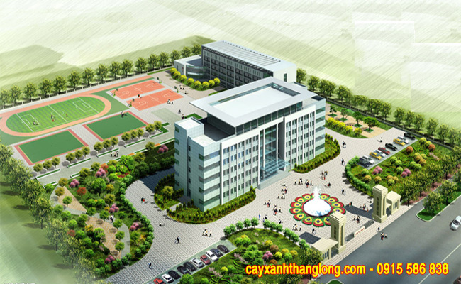 Thiết kế thi công cảnh quan trường học