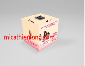 Thùng phiếu Mica