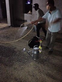 Dịch vụ diệt mối, côn trùng