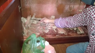 Dịch vụ diệt mối, côn trùng