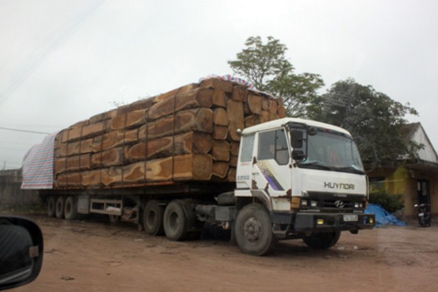 Dịch vụ vận tải đường bộ