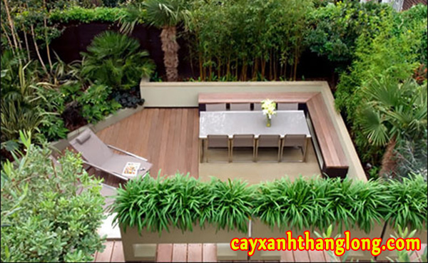 Thiết kế thi công cảnh quan sân vườn