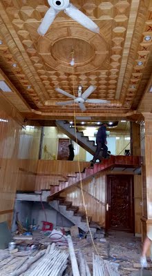 Dịch vụ diệt mối, côn trùng