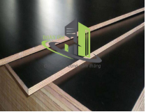 Ván ép coppha gỗ phủ phim 15mm