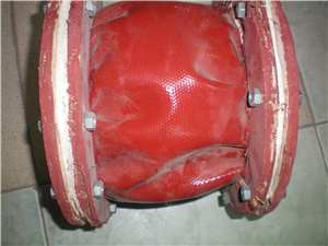 Khớp giãn nở