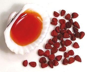 Dầu điều