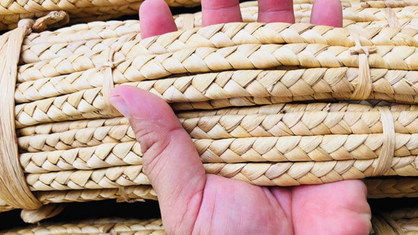 Dây lục bình bện sóng