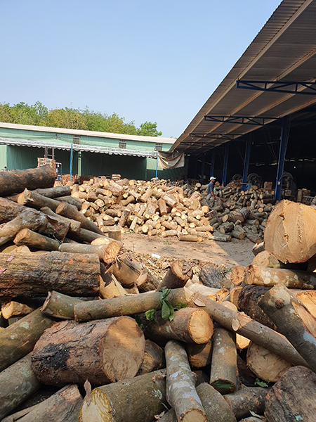 Cây được nhập về bãi