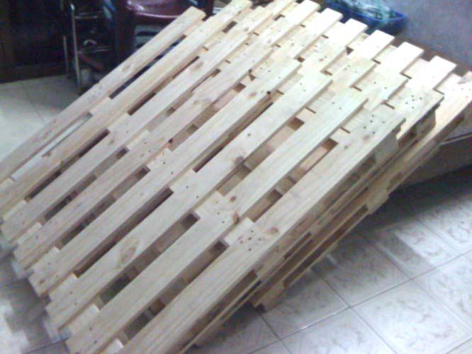 Pallet gỗ keo
