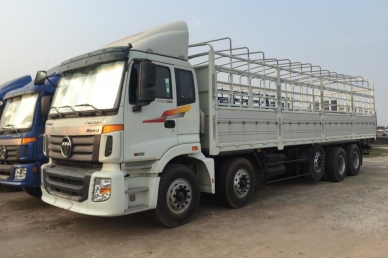 Dịch vụ vận tải