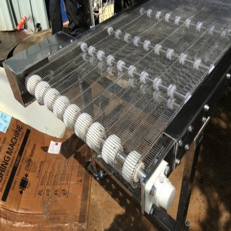 Băng tải Inox
