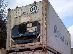 Container lạnh 20RF