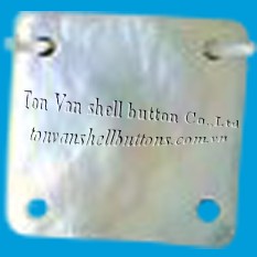 产品与服务