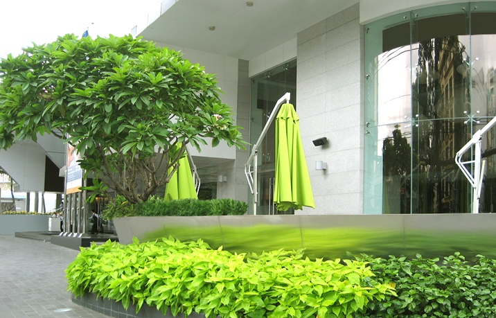 Thiết kế và thi công cảnh quan