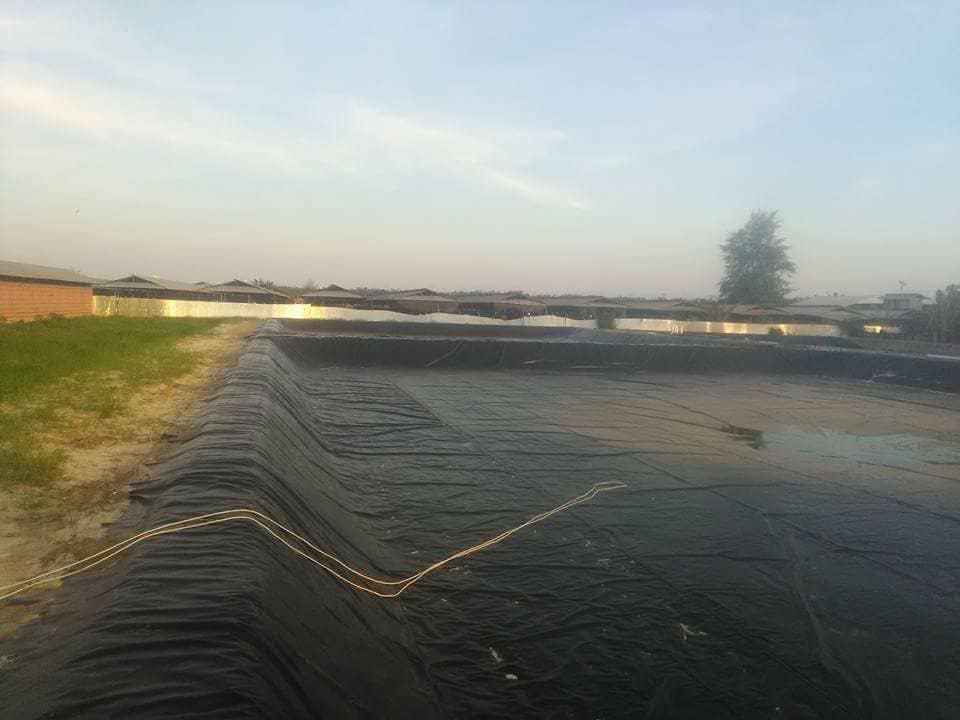 Màng chống thấm HDPE