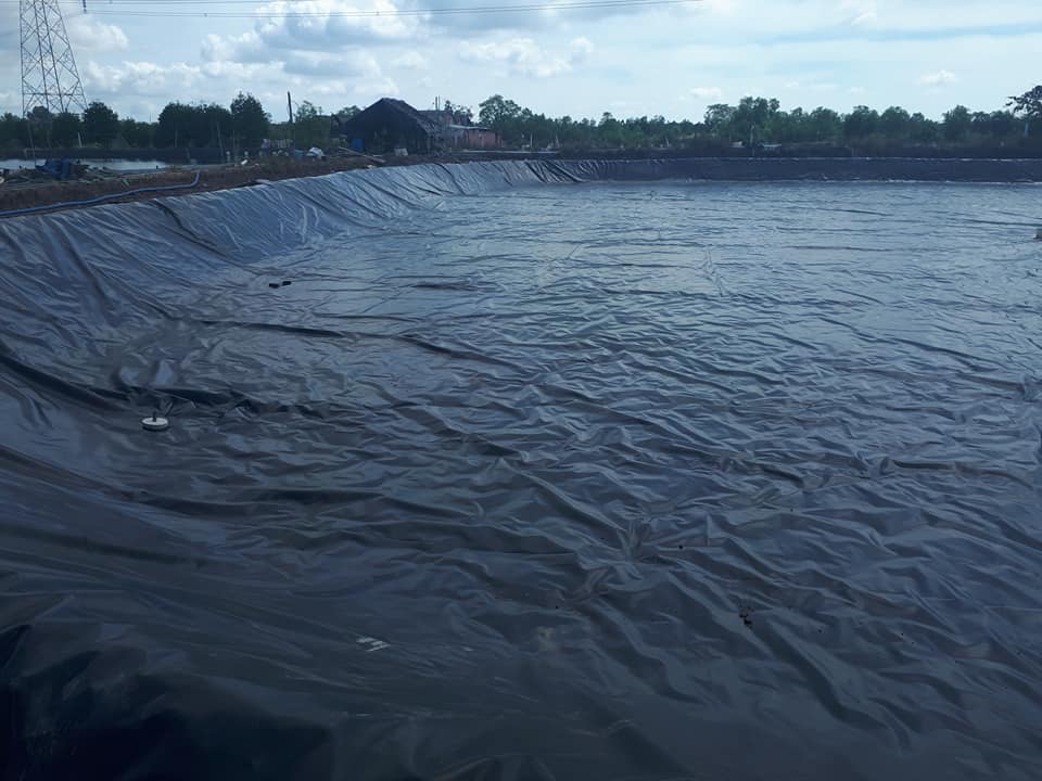 Màng chống thấm HDPE