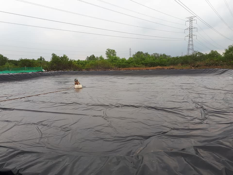 Màng chống thấm HDPE