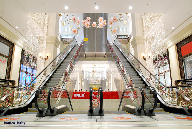 Cầu thang cuốn