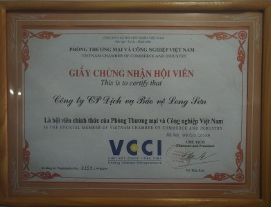 资质或荣誉图片