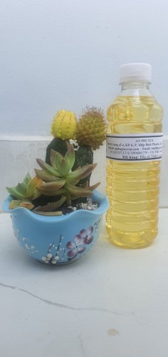 Dầu cá tinh luyện