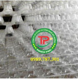 Giá thể dạng tổ ong