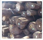 Gỗ bạch đàn