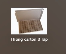 Thùng carton 3 lớp