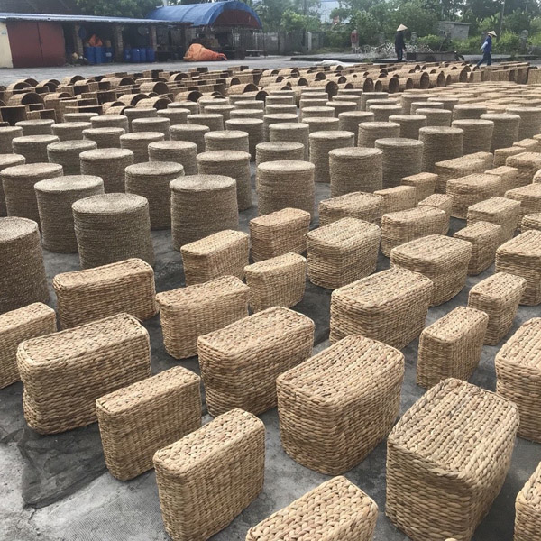 Sấy đệm lục bình