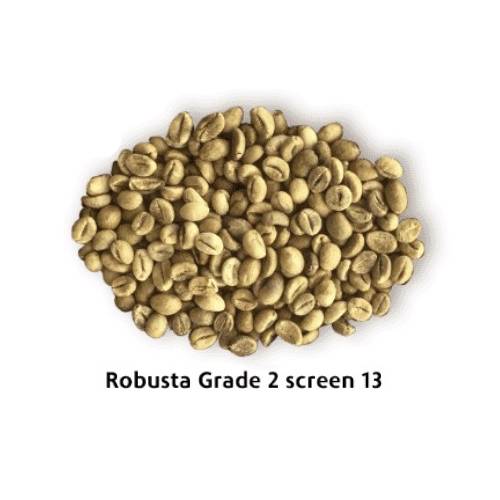 Robusta loại 2 sàng 13