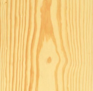 Veneer Thông