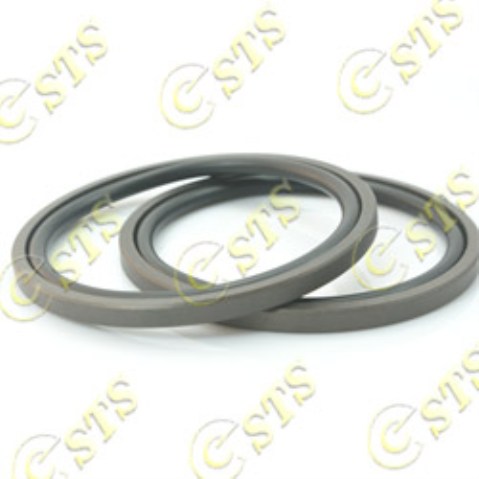 Phốt cho piston