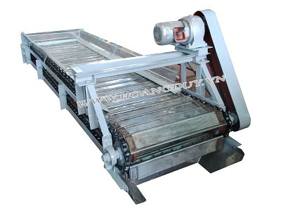 Băng tải vỉ