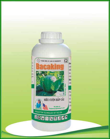 Bacaking