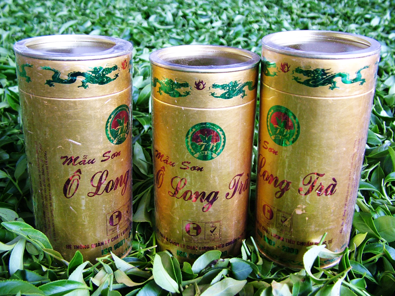 Mẫu sơn Ô Long trà hộp