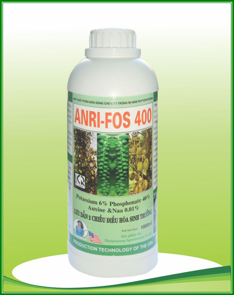 ANRI-FOS 400