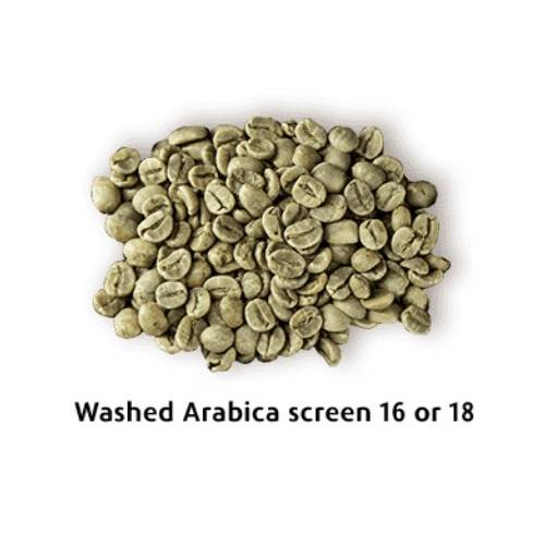 Arabica rửa sạch sàng 16 hoặc sàng 18