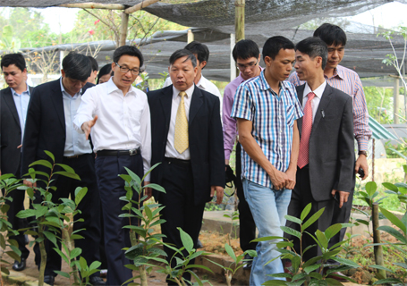 Ông Vũ Đức Đam ghé thăm vườn ươm
