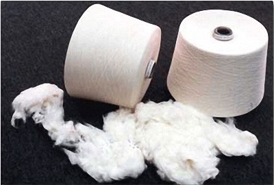 Sợi Cotton