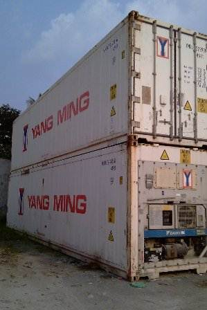 Container lạnh 40HR