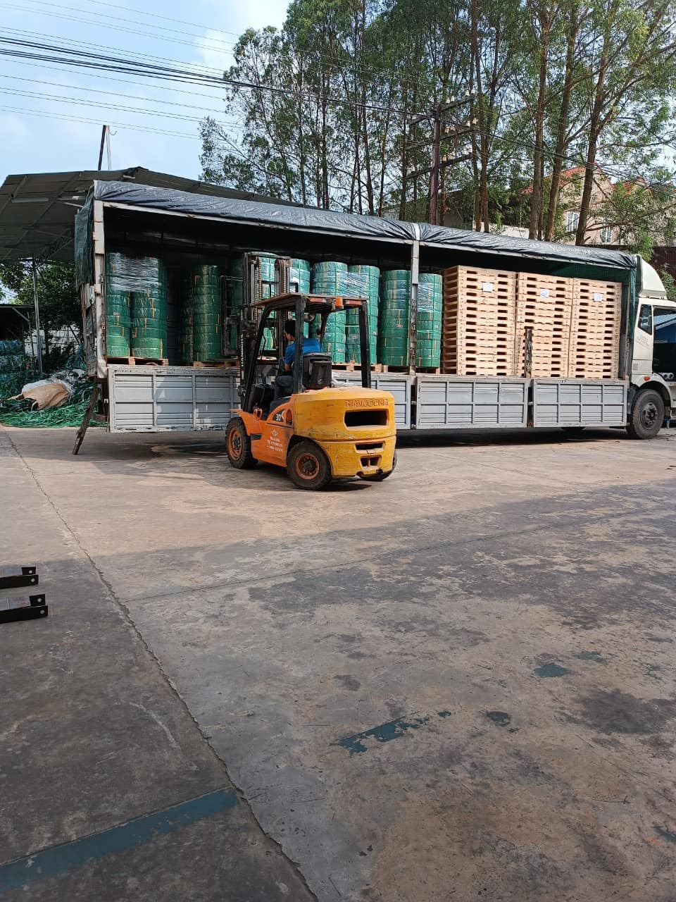 Dây đai nhựa PET