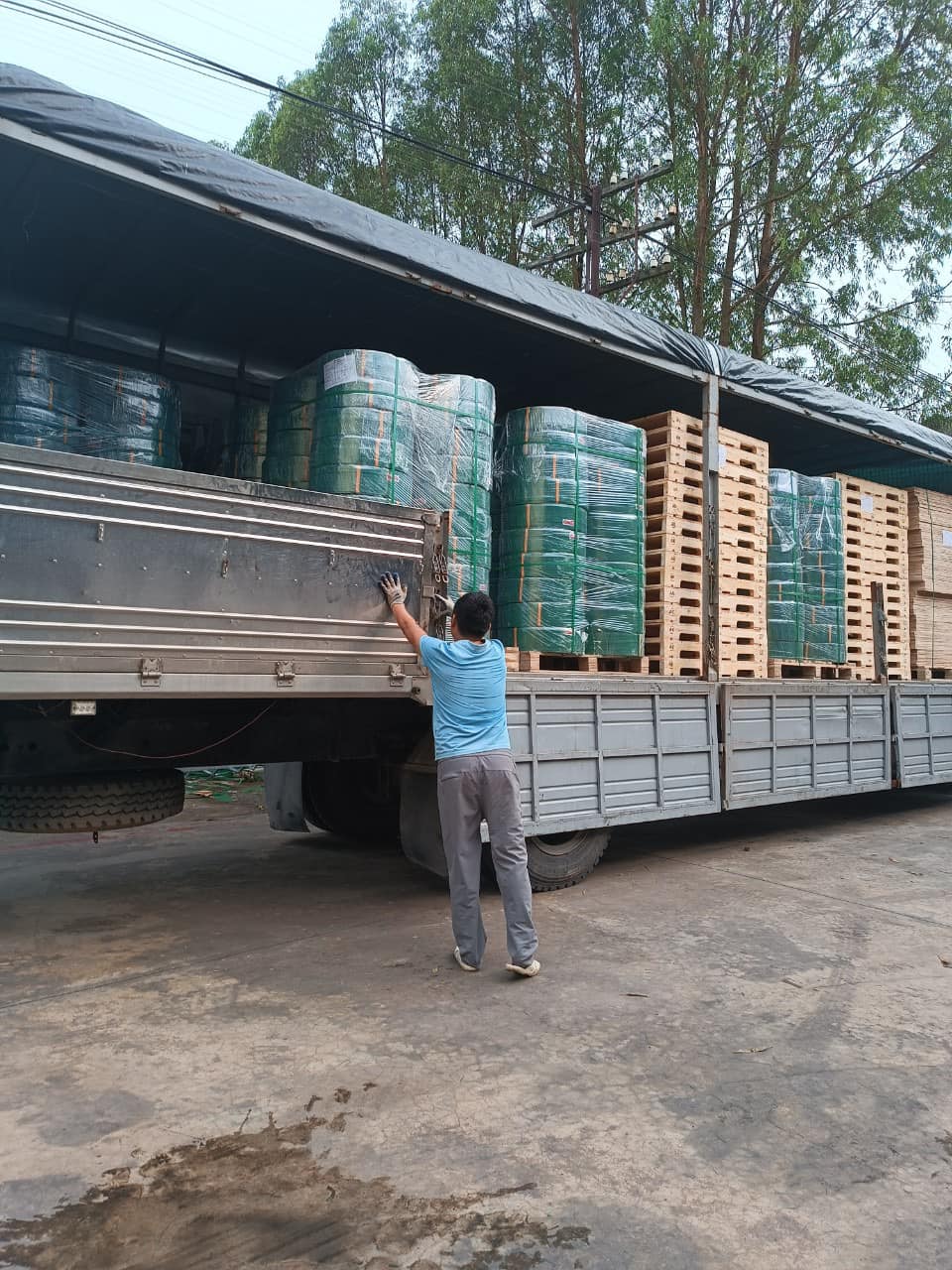 Dây đai nhựa PET