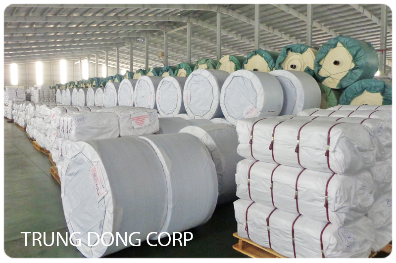 Manh PP