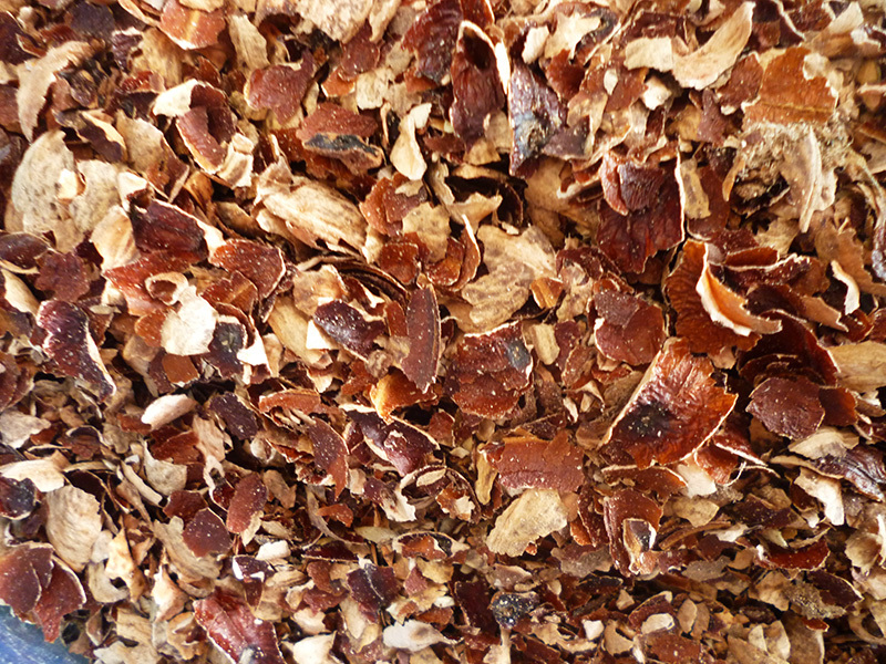 Bã điều