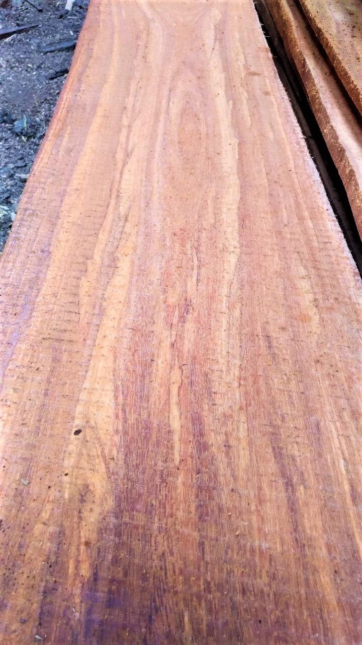 Gỗ đỏ - Ghana