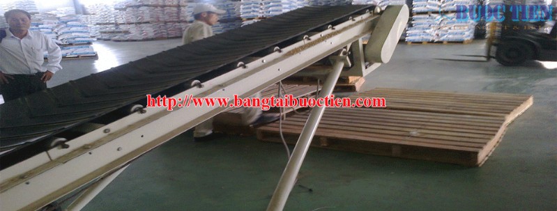 Băng tải nâng hạ