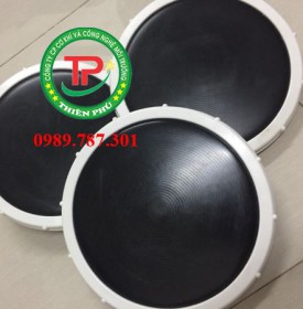Đĩa thổi khí