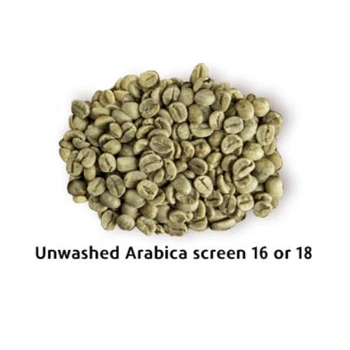 Arabica chưa rửa sàng 16 hoặc sàng 18