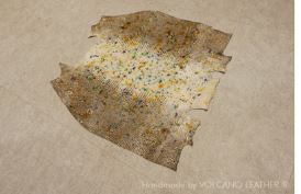 Da kỳ đà Patina