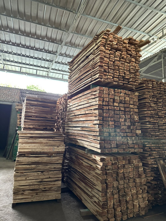 Nan gỗ