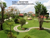 Thi công cảnh quan